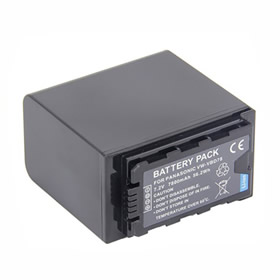 Panasonic VW-VBD78 Battery