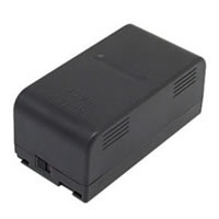 Panasonic VW-VBS2 Battery