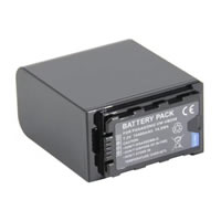 Panasonic Lumix BS1H Battery