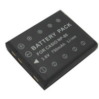 Casio NP-80 Battery